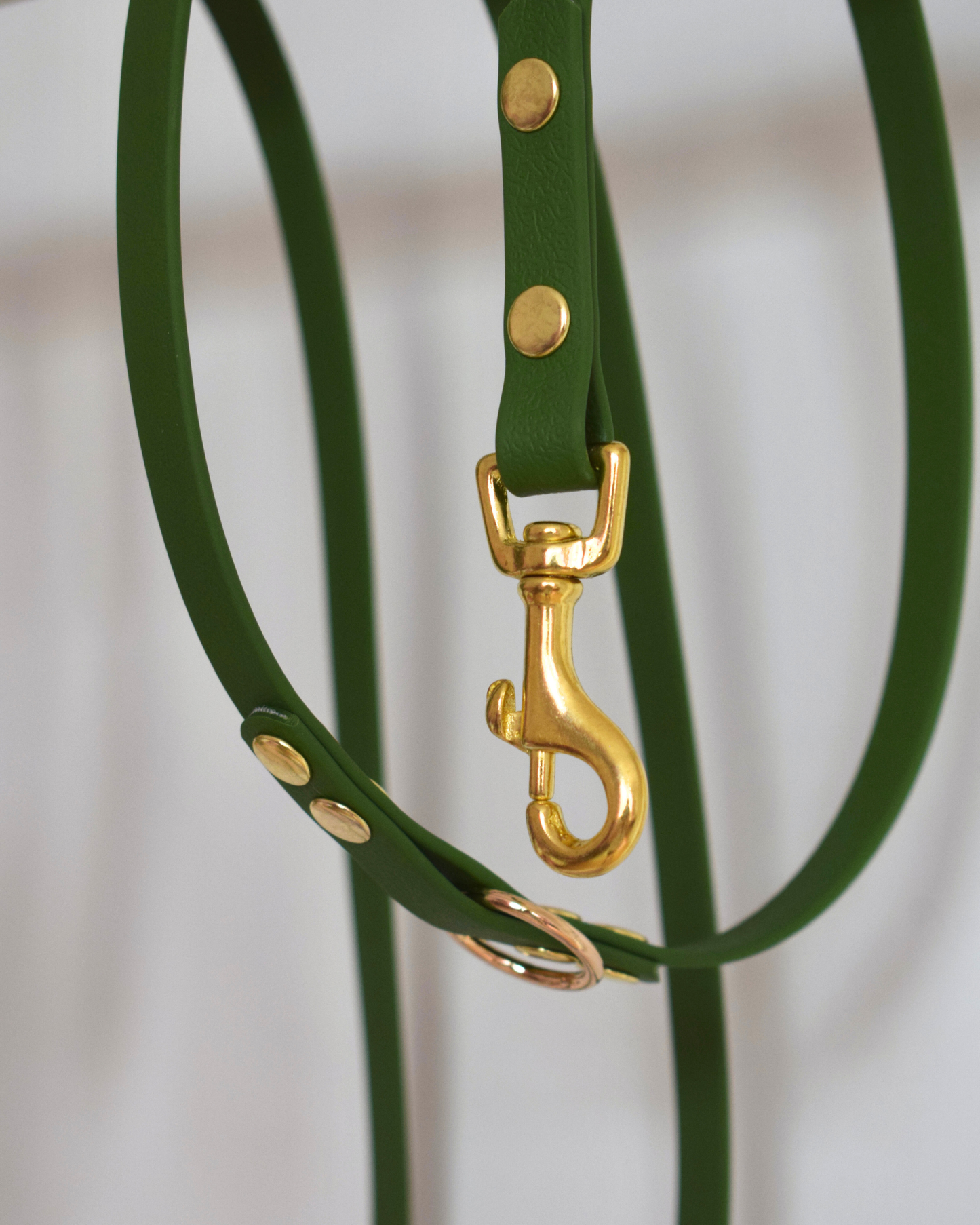 Laisse Multi positions ☆ Suzette