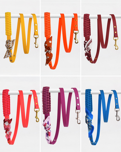 Laisse Simple ☆ Colette