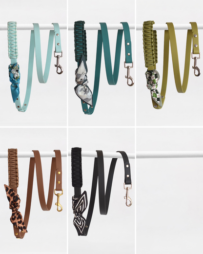 Laisse Simple ☆ Colette