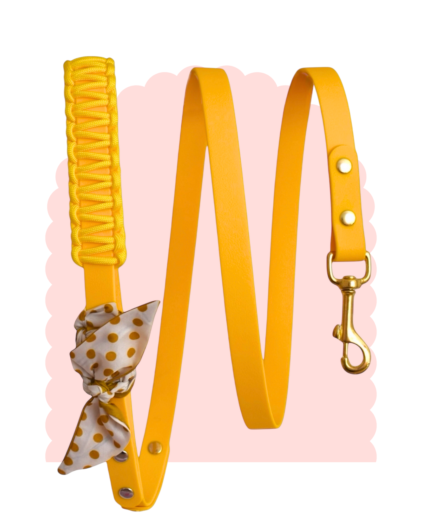 Laisse Simple ☆ Colette