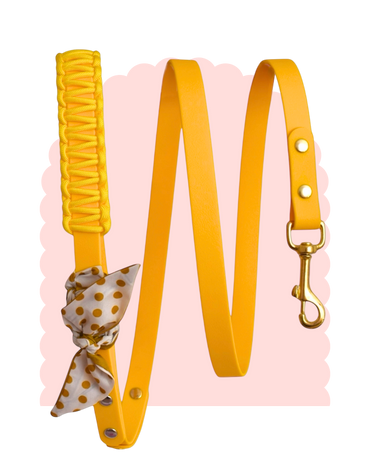 Laisse Simple ☆ Colette