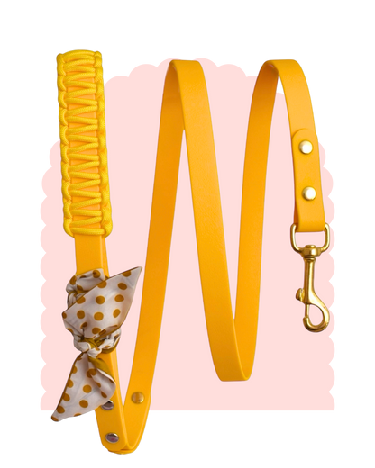 Laisse Simple ☆ Colette