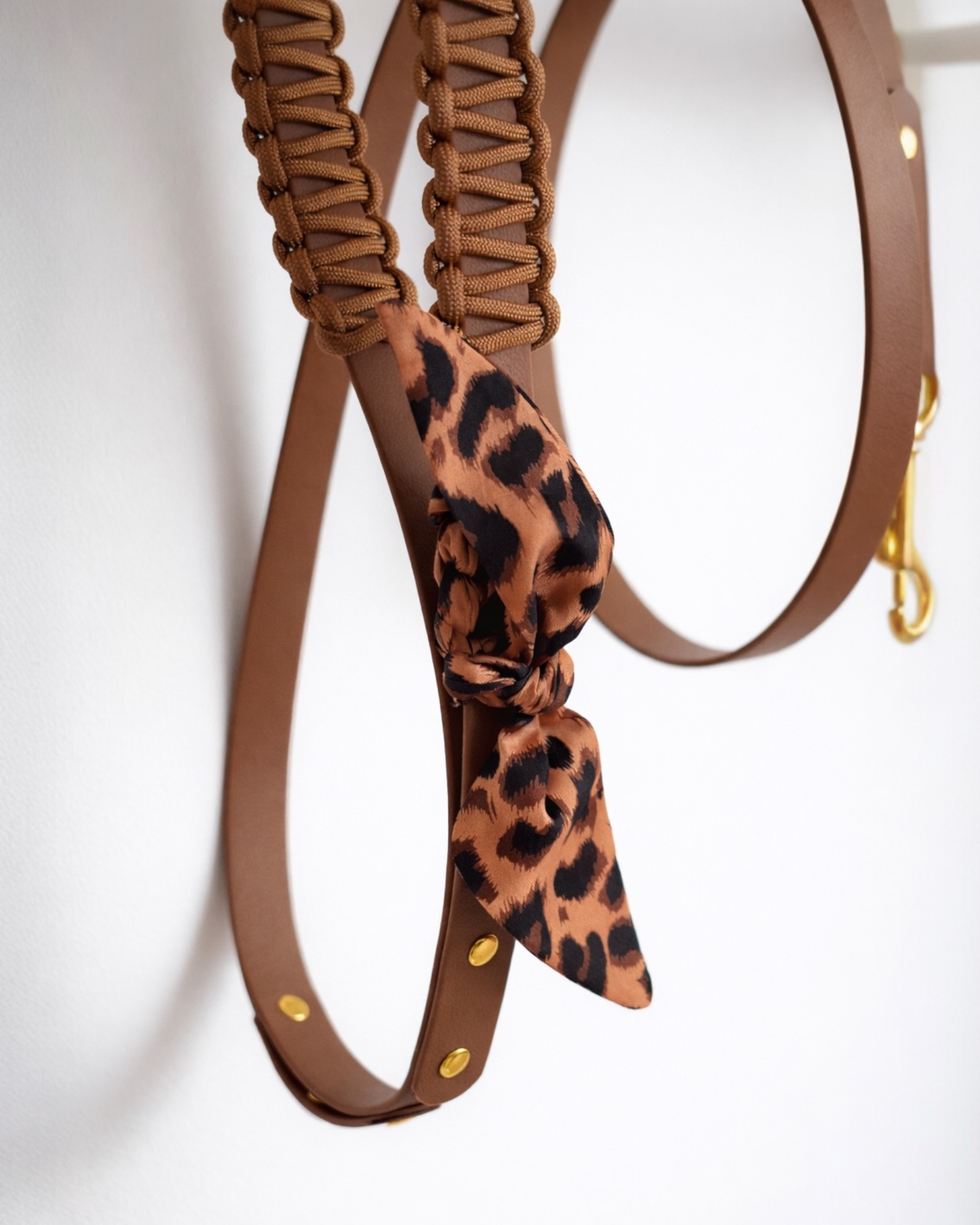 Laisse Simple ☆ Colette