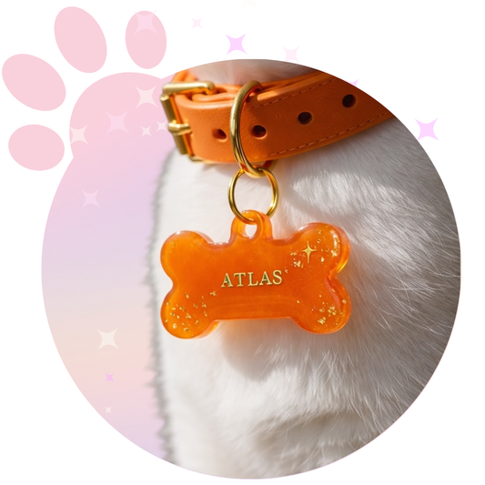 Médaille Chat ☆ Classique