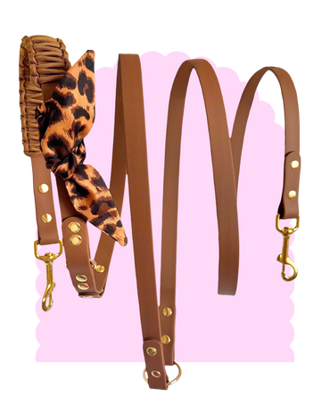 Laisse Multi Positions ☆ Colette