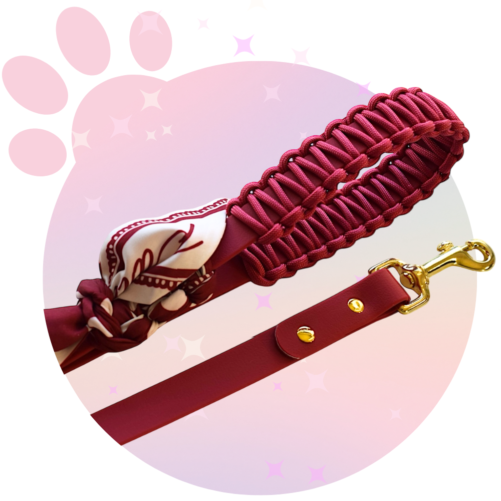 Laisse Simple ☆ Colette