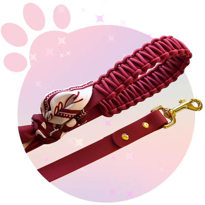 Laisse Simple ☆ Colette