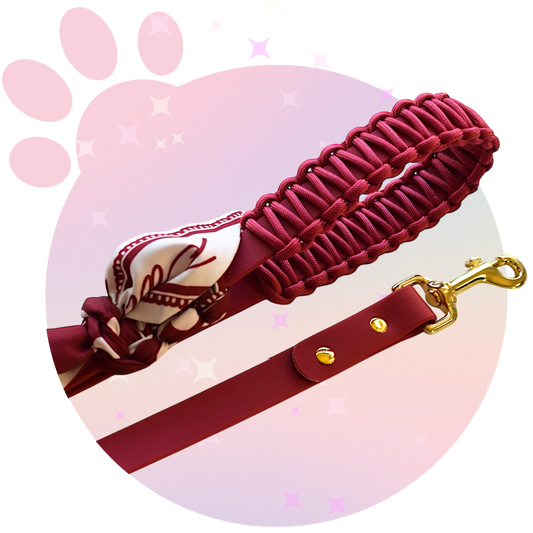 Laisse Simple ☆ Colette