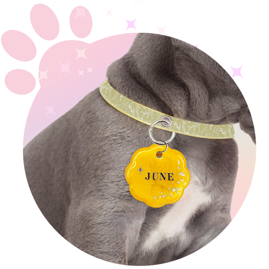 Médaille Chien ☆ Classique