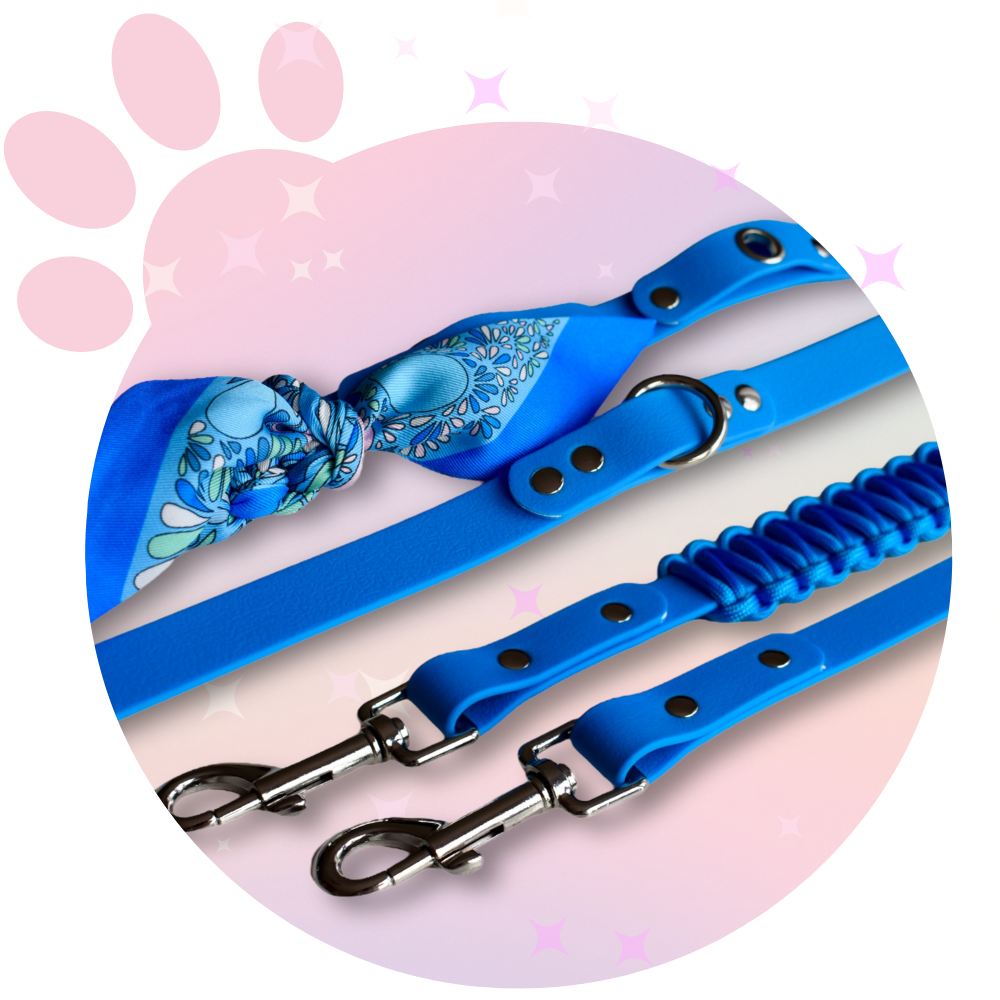 Laisse Multi positions ☆ Colette