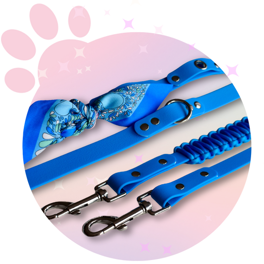 Laisse Multi positions ☆ Colette