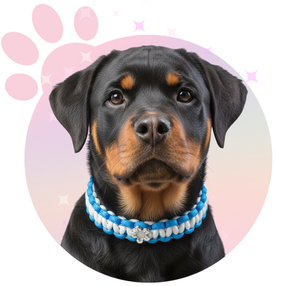 Collier Paracorde ☆ Plume