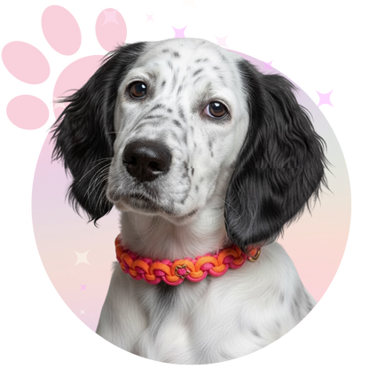 Collier Paracorde ☆ Lady