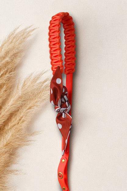 Laisse Simple ☆ Colette