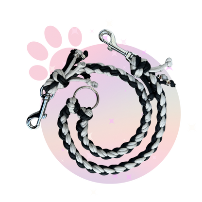 Double-laisse-chat-chien-ramses-paracorde-myuna