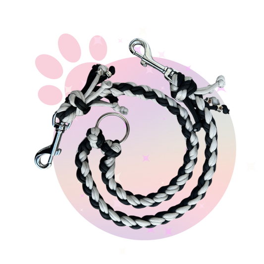 Double-laisse-chat-chien-ramses-paracorde-myuna