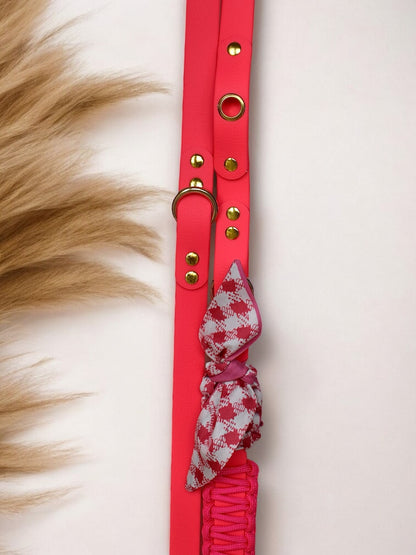 Laisse Multi positions ☆ Colette