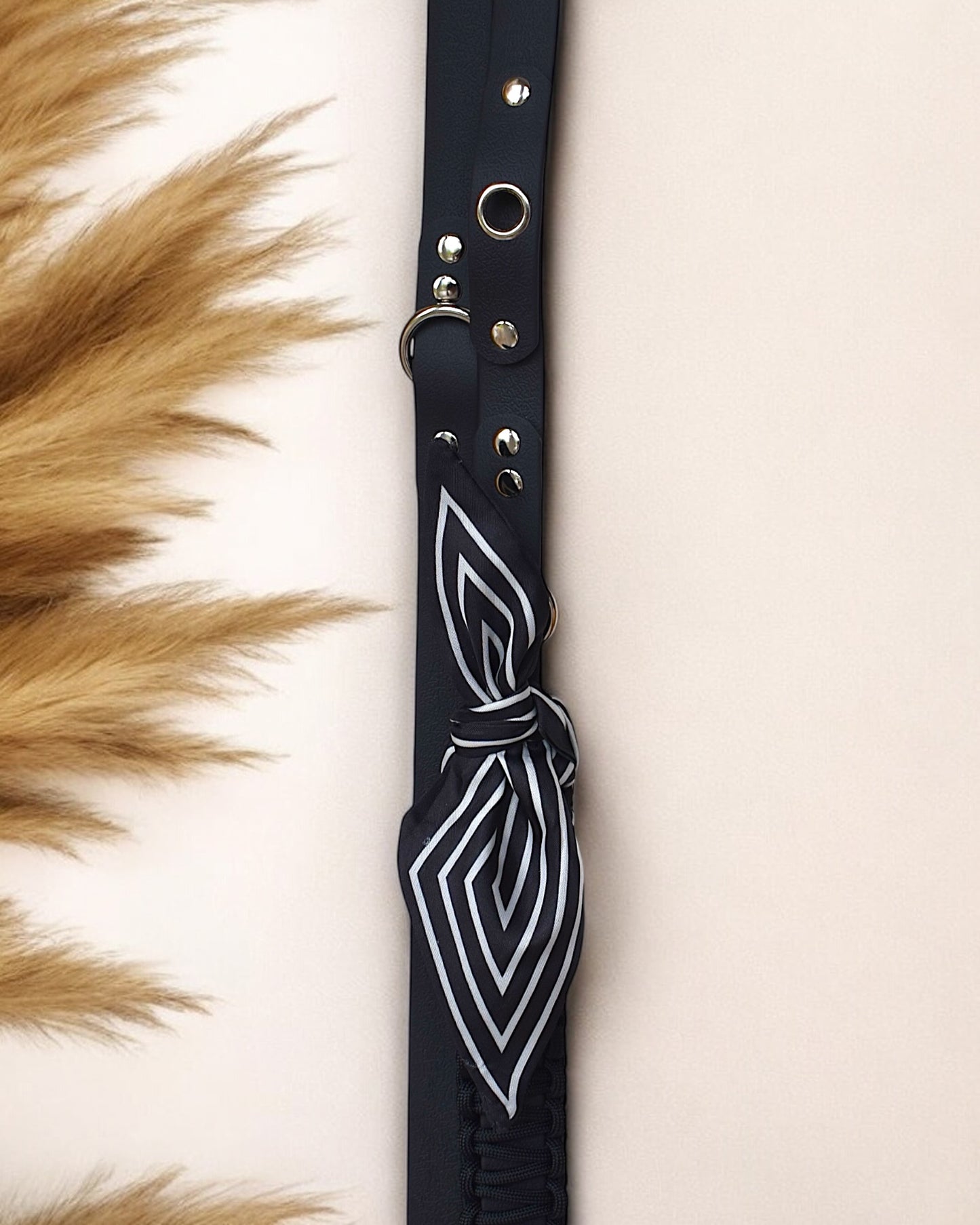 Laisse Multi positions ☆ Colette