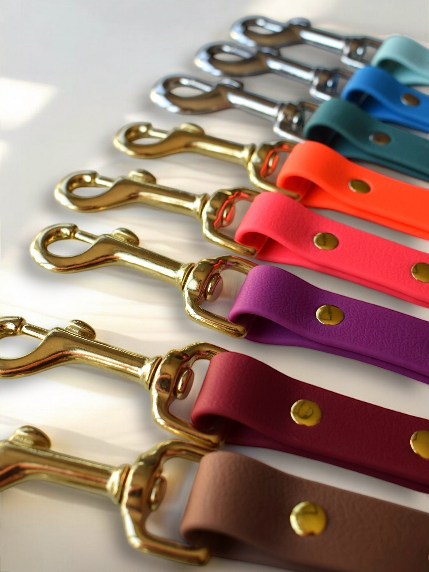 Laisse Simple ☆ Colette