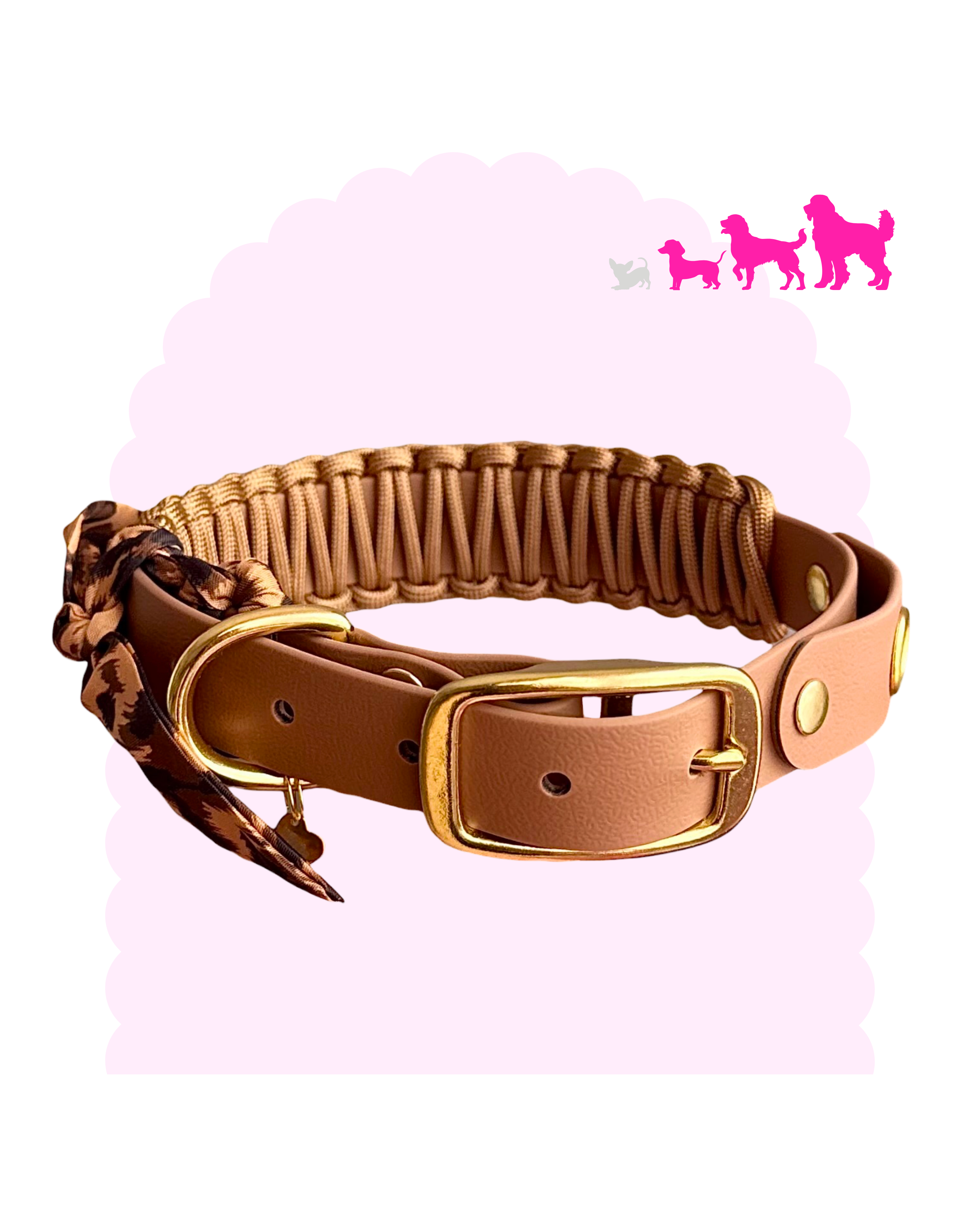 Necklace ☆ Colette