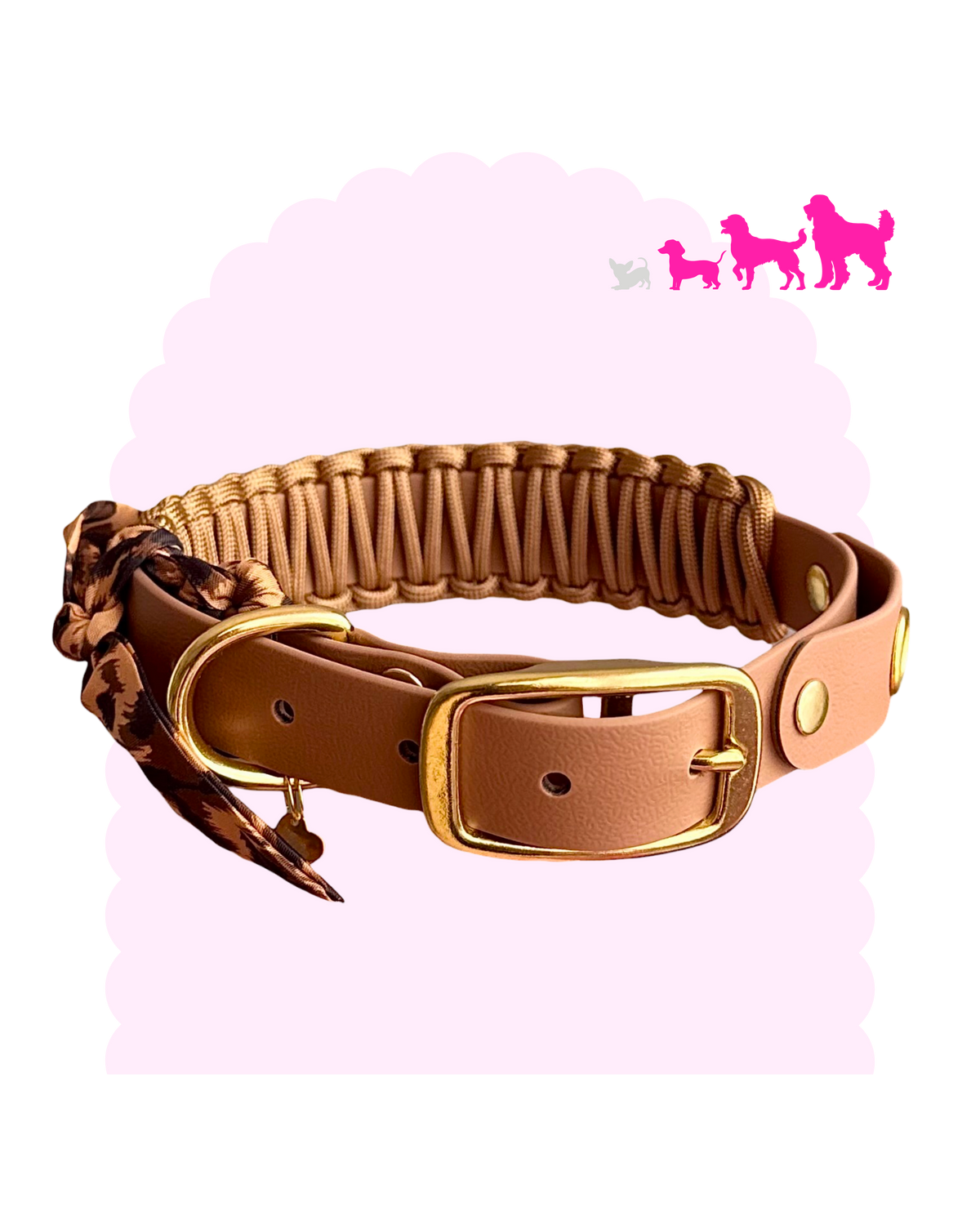 Necklace ☆ Colette