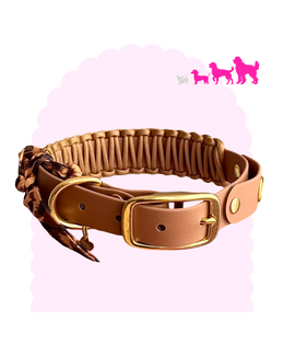 Necklace ☆ Colette