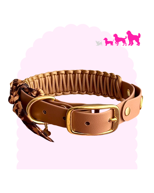 Necklace ☆ Colette