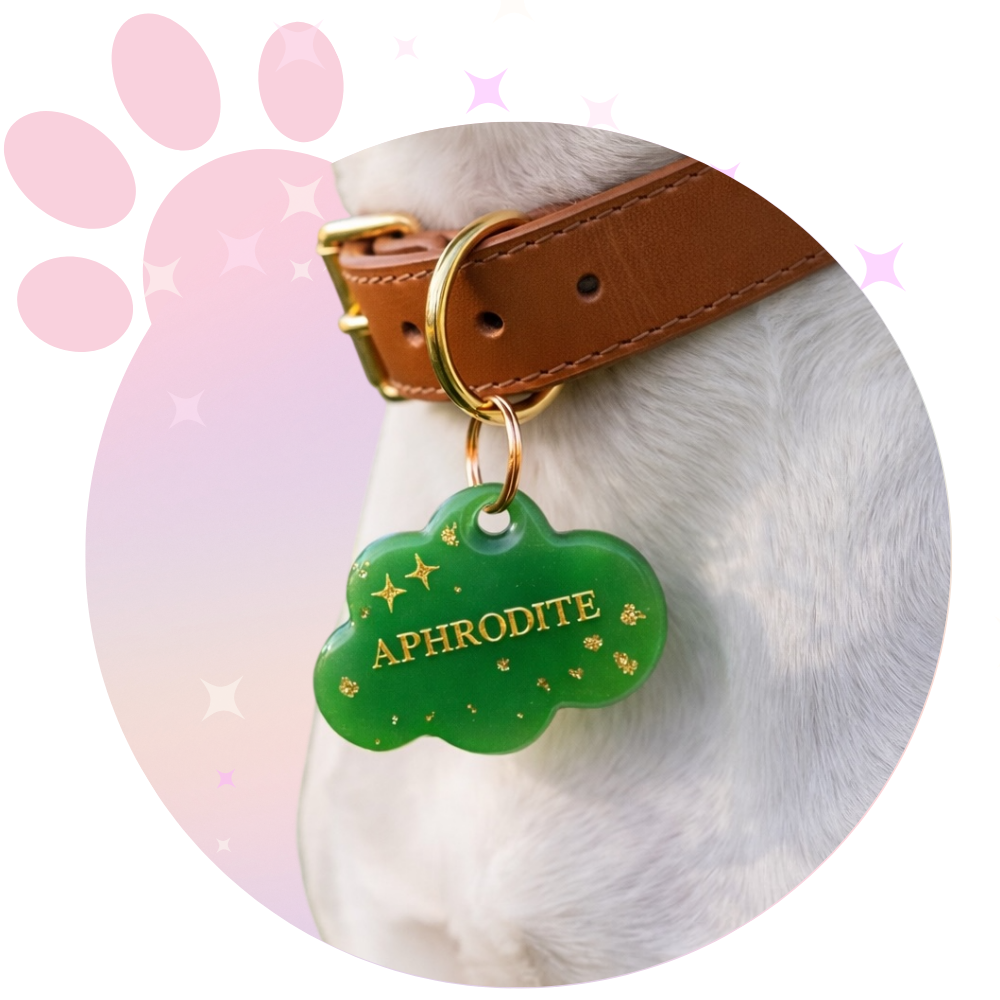 Médaille Chien ☆ Classique
