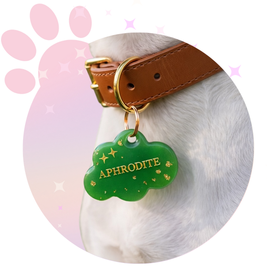 Médaille Chien ☆ Classique