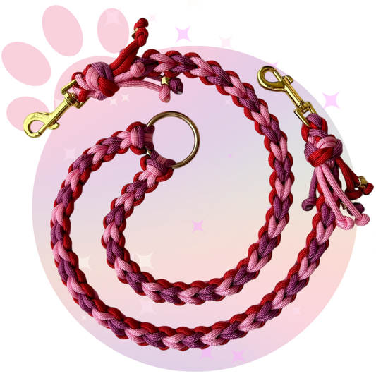 Laisse Paracorde Double ☆ Perle