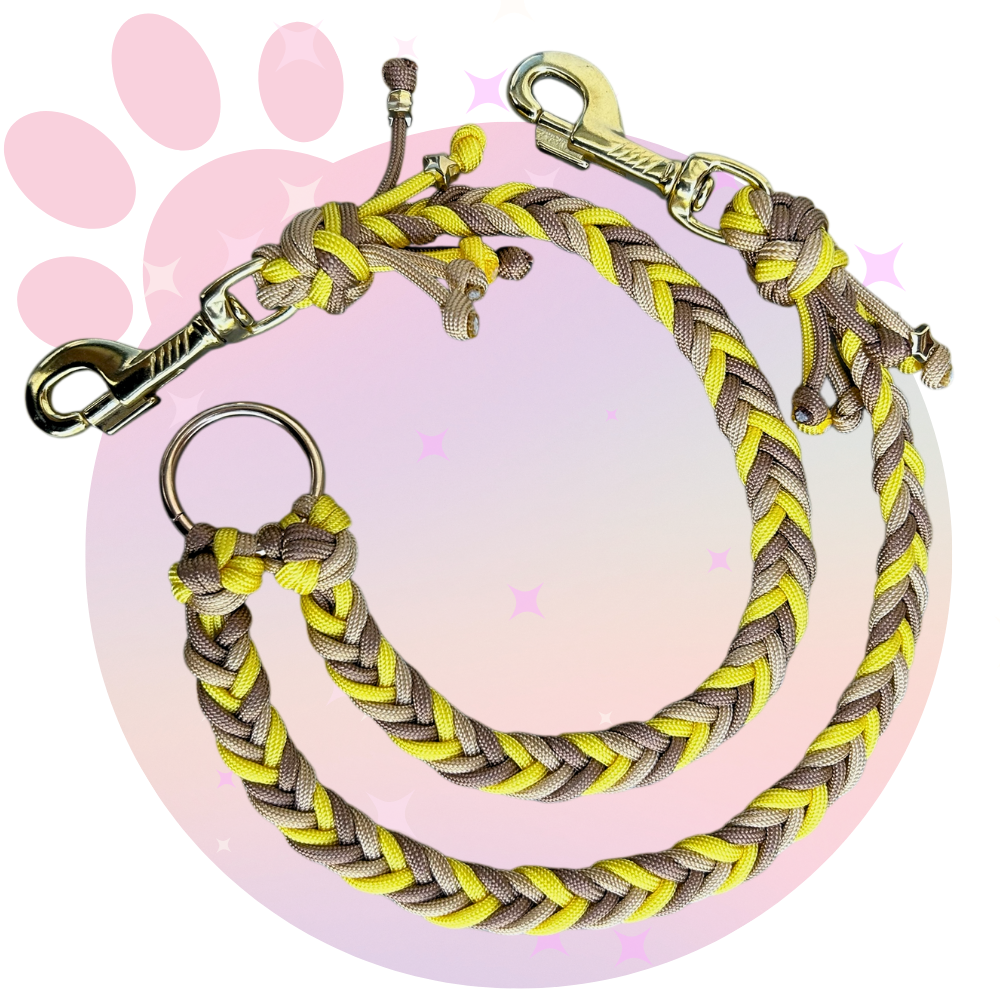 Laisse Paracorde Double ☆ Praline