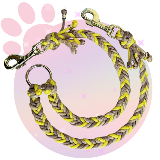 Laisse Paracorde Double ☆ Praline