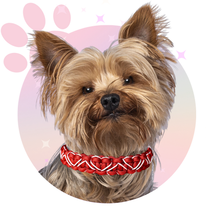 Collier Paracorde ☆ Lassie