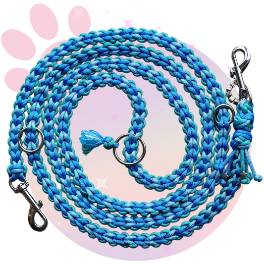 Laisse Paracorde ☆ Perle