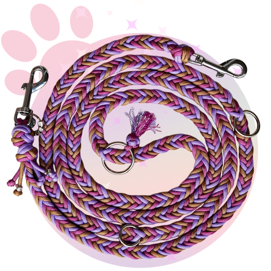 Laisse Paracorde ☆ Praline
