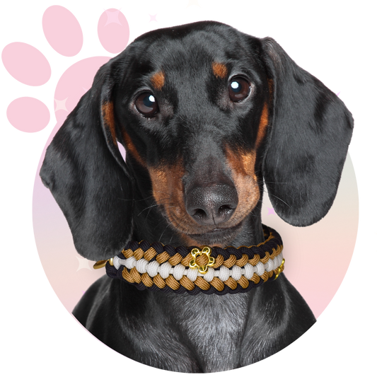 Collier Paracorde ☆ Milo