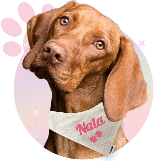 Bandana ☆ Personnalisé