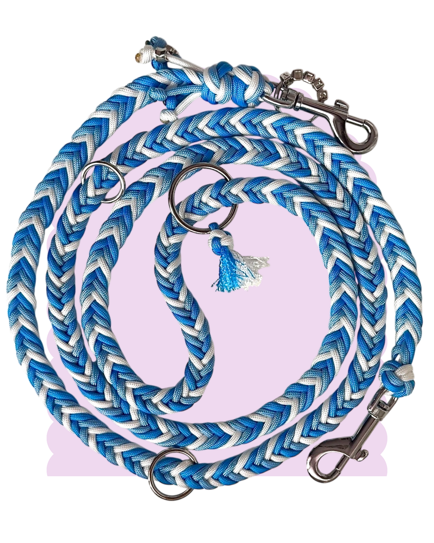 Laisse Paracorde ☆ Praline