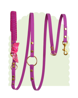Laisse Multi positions ☆ Suzette