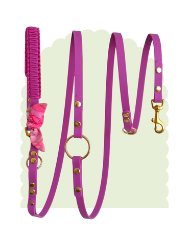 Laisse Multi positions ☆ Suzette