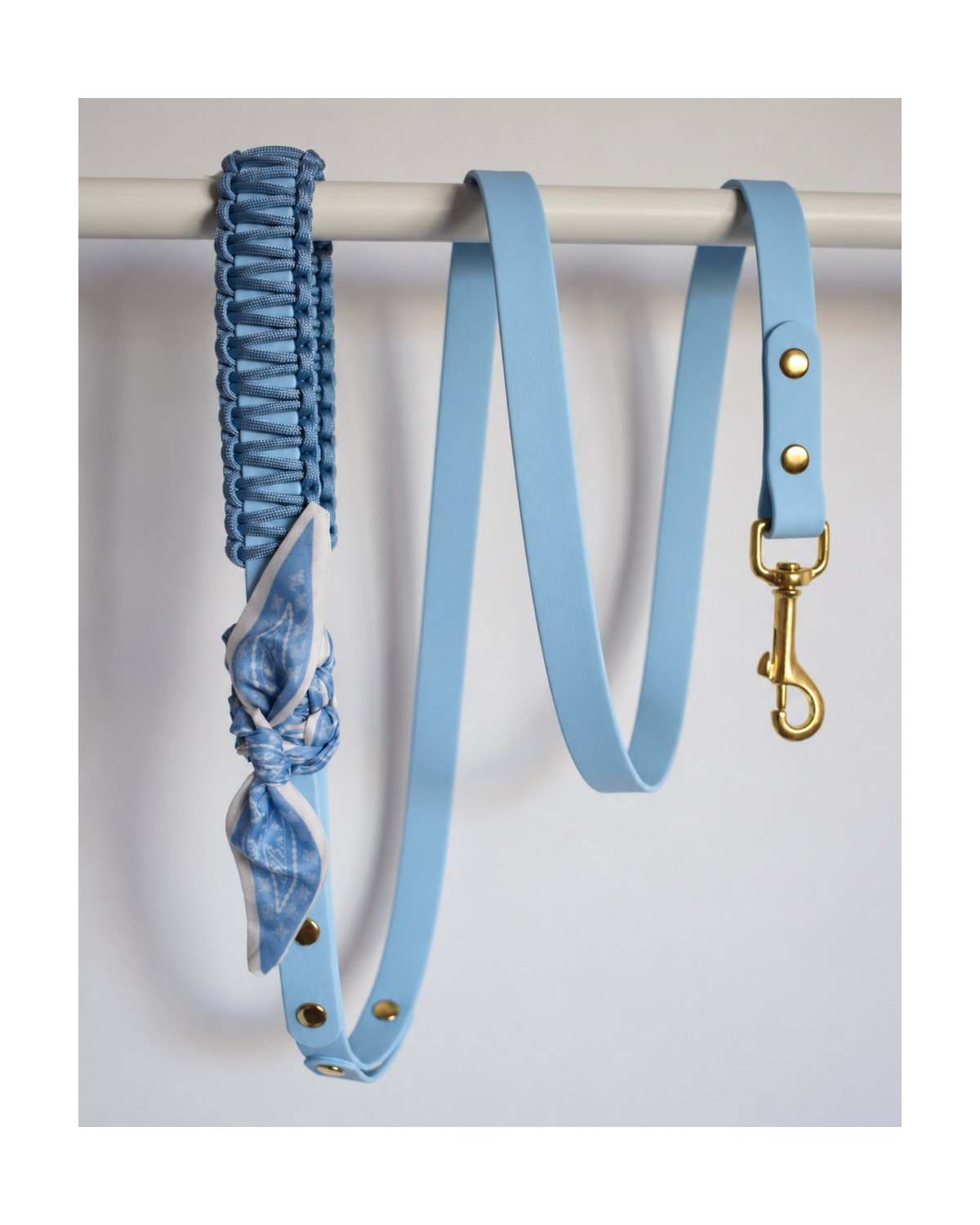 Simple Leash ☆ Colette