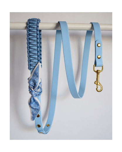 Simple Leash ☆ Colette