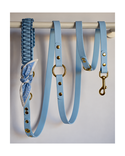 Multi-Position Leash ☆ Colette