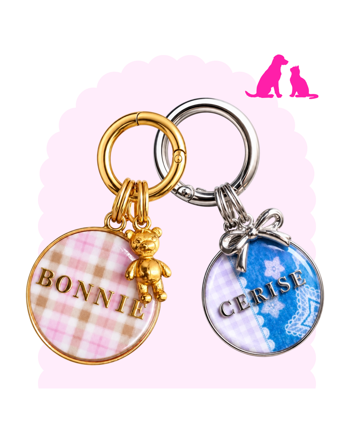 Médaille ☆ Ambassadrice