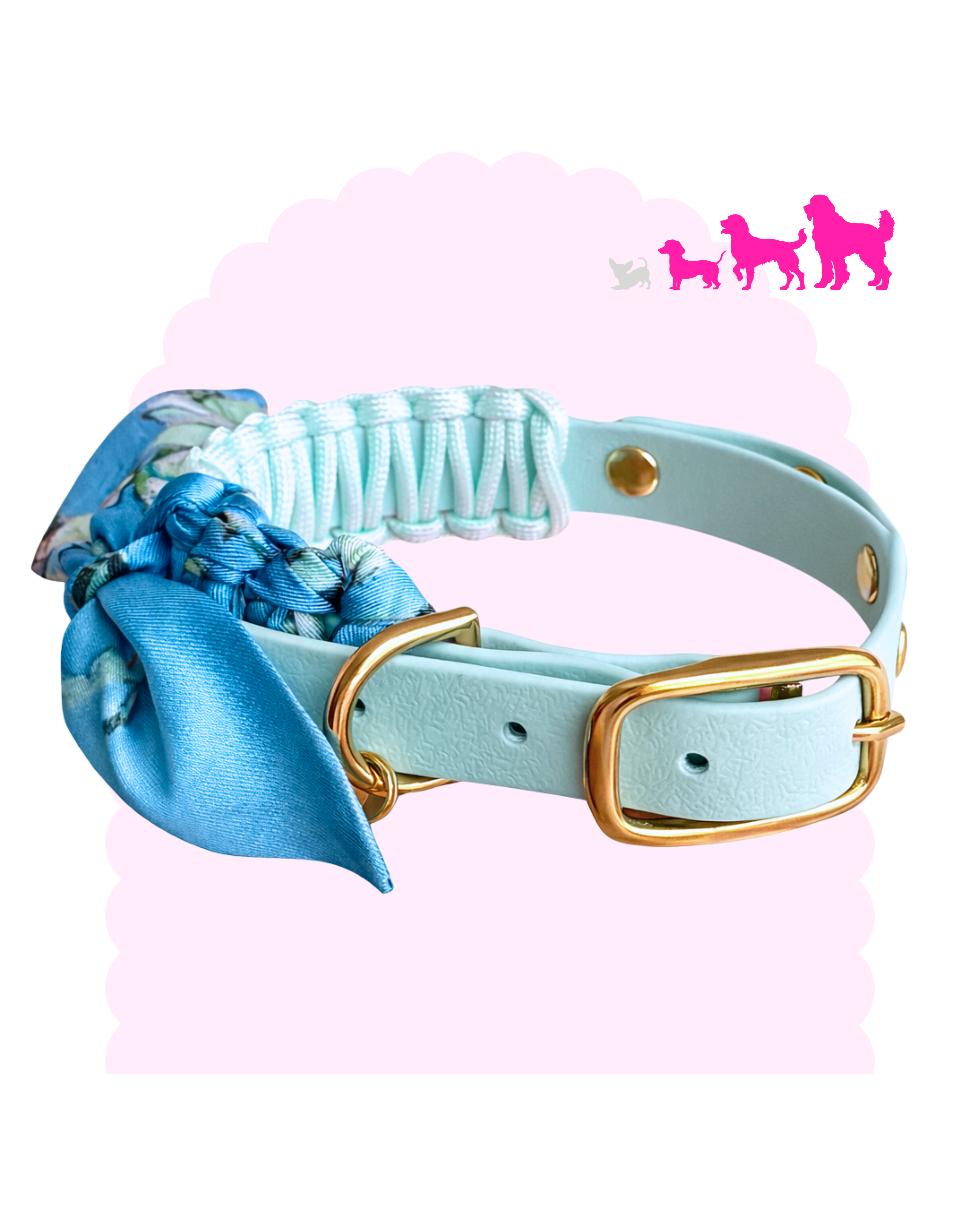 Collier pour chien petit,  moyen à grand en sangle imperméable bleu pastel avec foulard bleu et bouclerie argentée ou dorée.