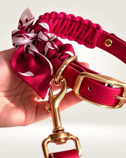 Collier pour chien Colette bordeaux avec foulard et tressage en paracorde