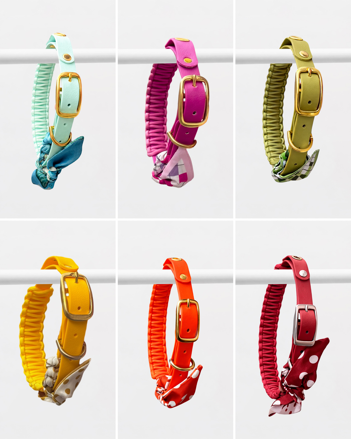 Colliers pour chien Colette personnalisables dans différents coloris