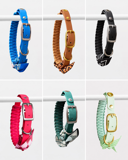 Différents coloris du collier personnalisable pour chien Colette