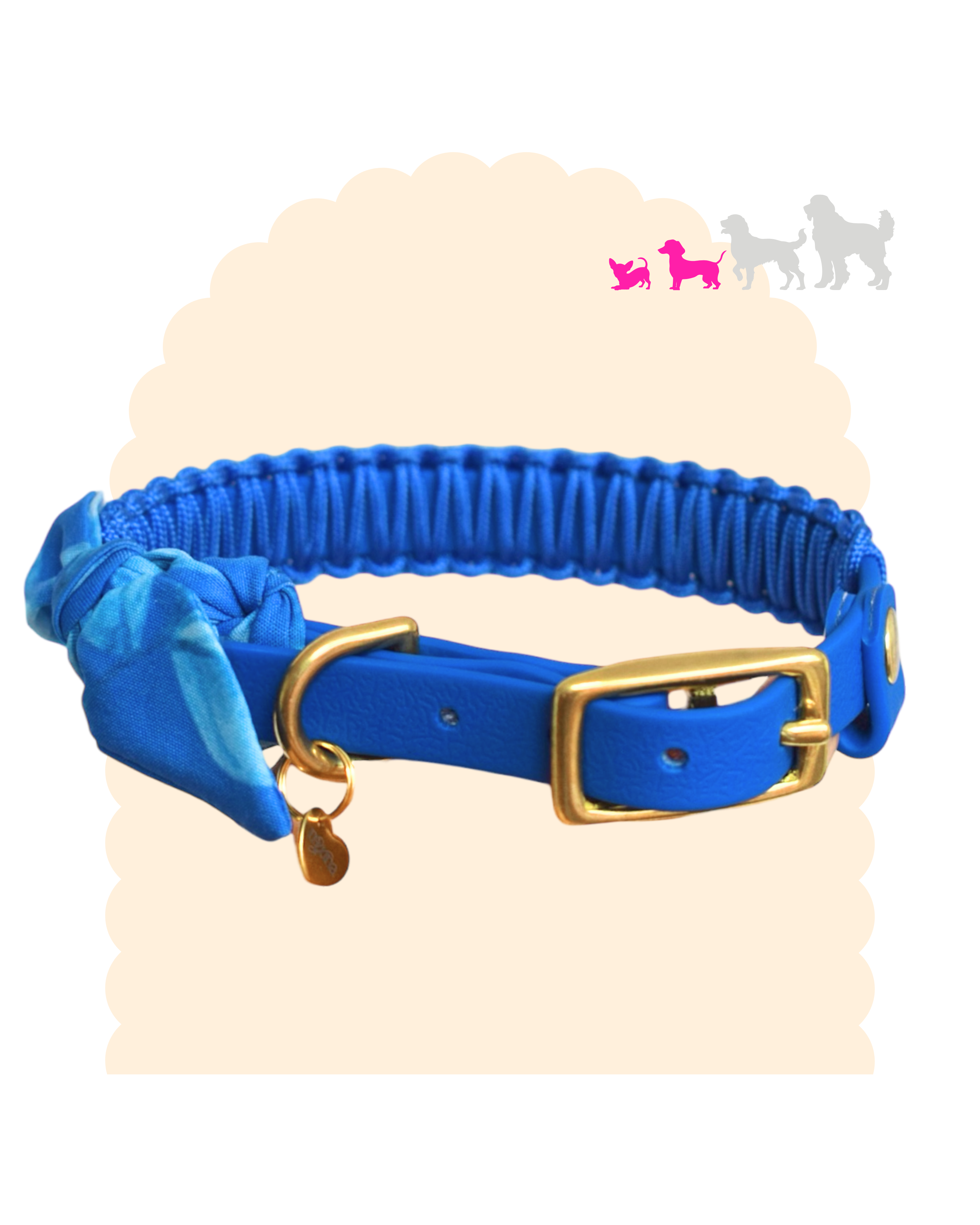 Collier fin Suzette 13 mm pour petit chien, bleu avec foulard, paracorde et bouclerie dorée