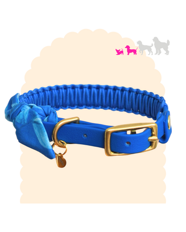 Collier fin Suzette 13 mm pour petit chien, bleu avec foulard, paracorde et bouclerie dorée
